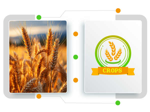 Crop Logo Ersteller