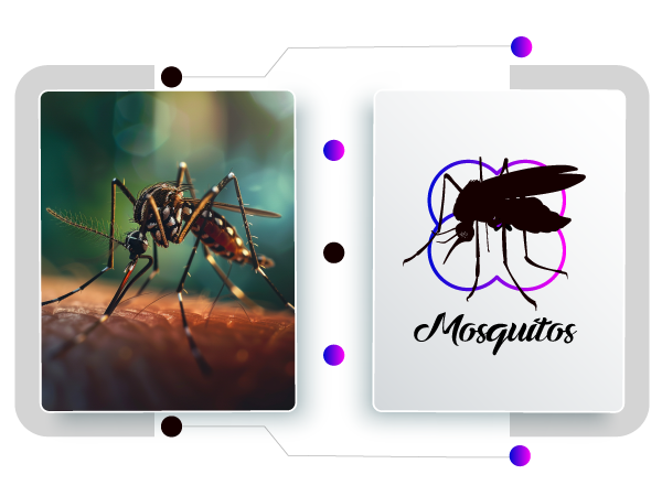 mosquito logo creator