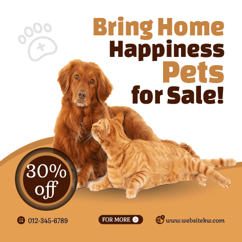 Facebook-Beitrag zum Thema Haustiervermittlung