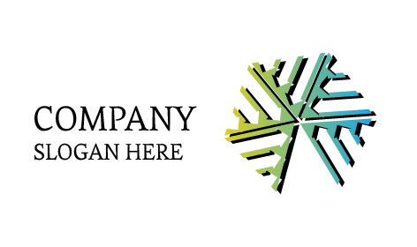 Dainty Snowflake Accountant Logo