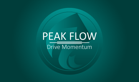 Peak Flow Wordmark Consulting Logo