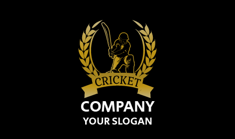 Excellent Cricket Certificate Logo