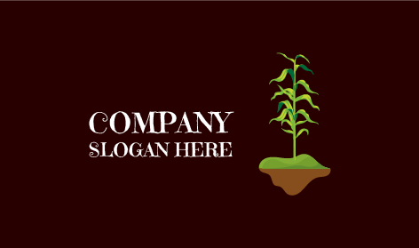 Logo Con Foglie Di Pianta Lunghe