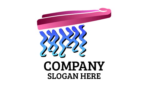 Logo Du Salon Silk Press