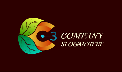 Modern Orange Watch Logo