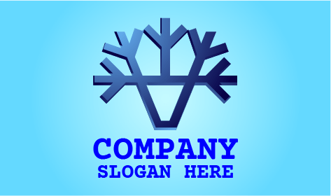 Elegante Logotipo De Invierno De Nieve