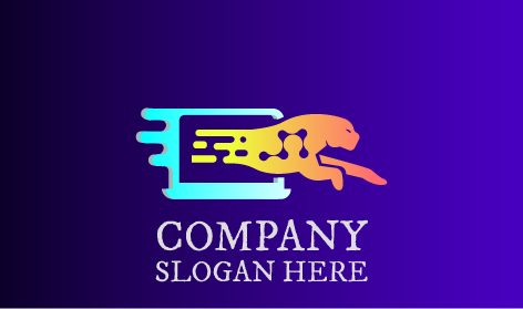 High Net Speed WWW Logo